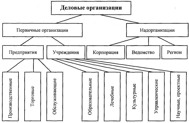 Деловые организации статья. Типы деловых предприятий. Основные формы деловых предприятий. Типы организации бизнеса. Основные виды организаций.