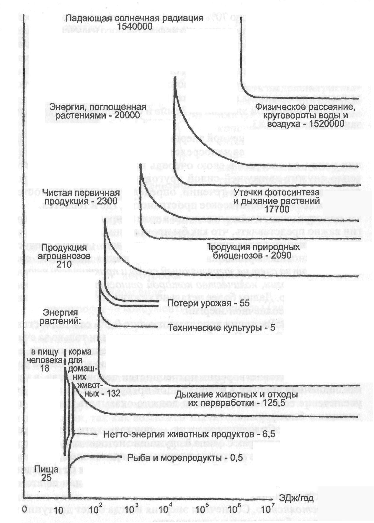 Солнце как источник энергии