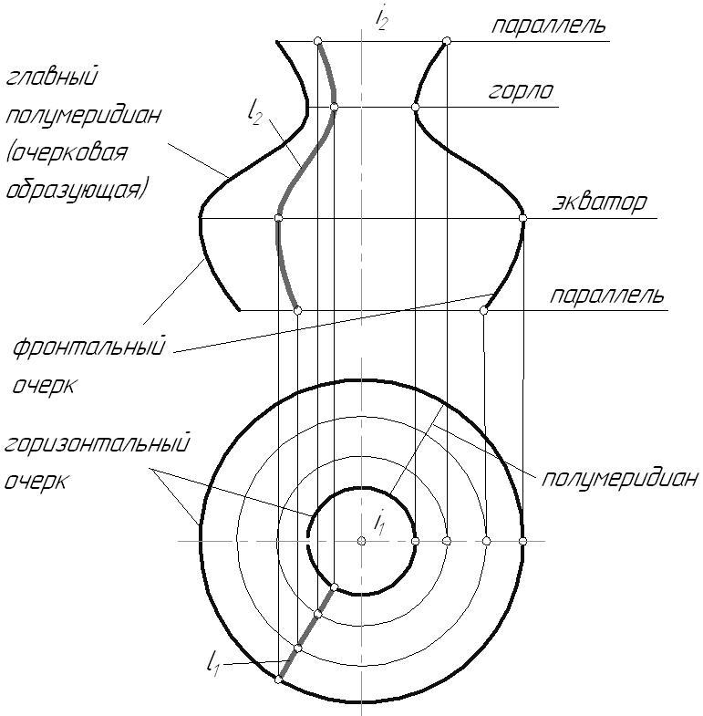 Экватором поверхности вращения показанной на чертеже является линия