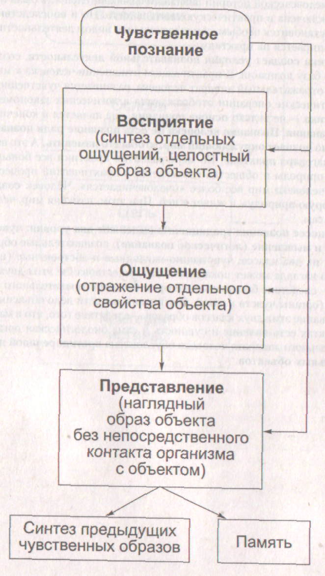 4.2. Чувственное познание. Философия в схемах и комментариях