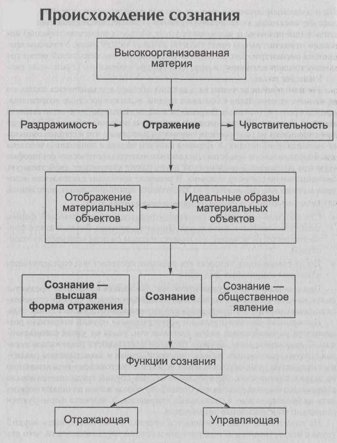 Содержание сознания в философии. Структура сознания схема. Схема сознание функции. Схема характеристики сознания человека в психологии.