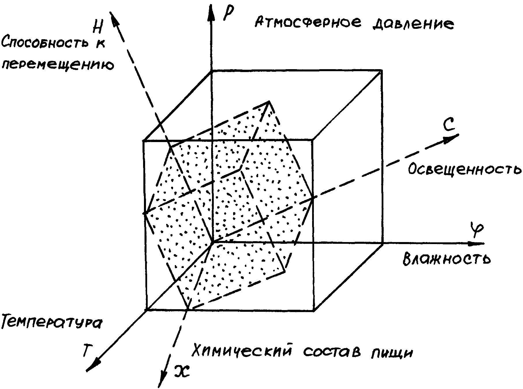 Экологическая ниша схема