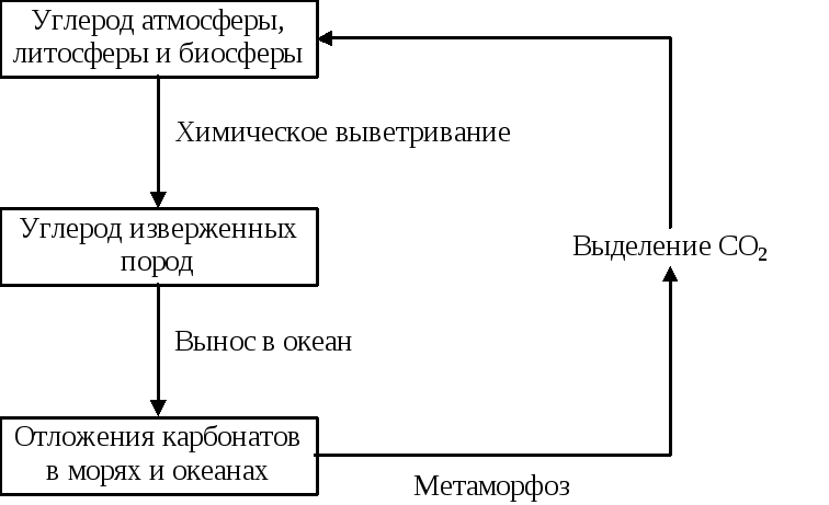 Схема цепей питания в водоеме - Фото подборки 3