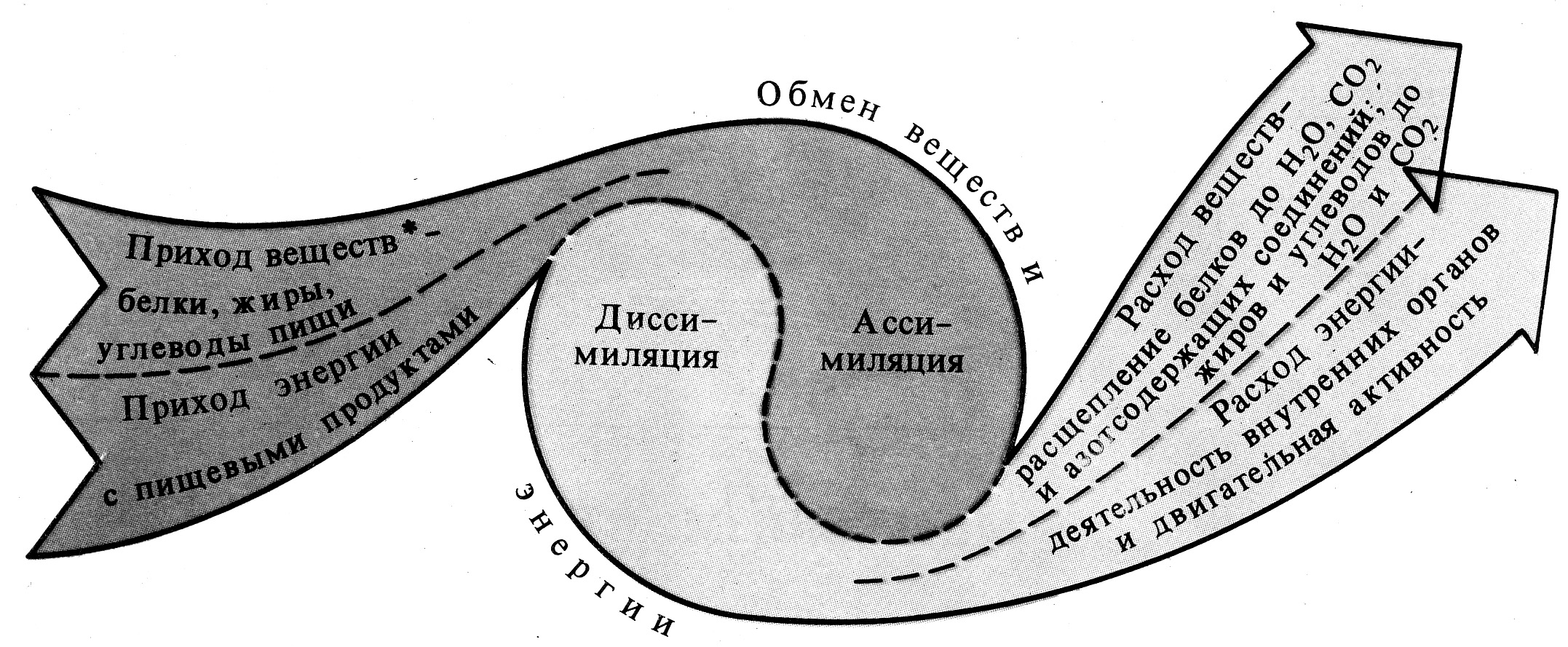 Обмен хода