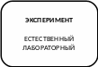 Скругленный прямоугольник 29