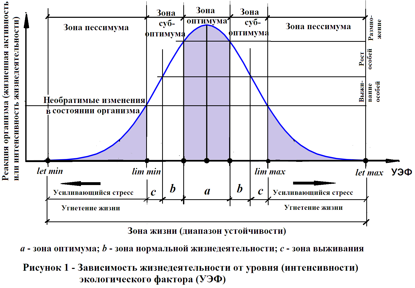 Фазовый спектр колоколообразного импульсного сигнала. Алколотическая кривая. Экологическая кривая. Влияние температурных факторов на жизнедеятельность организмов.