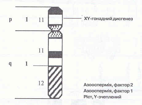 Хххх - синдром