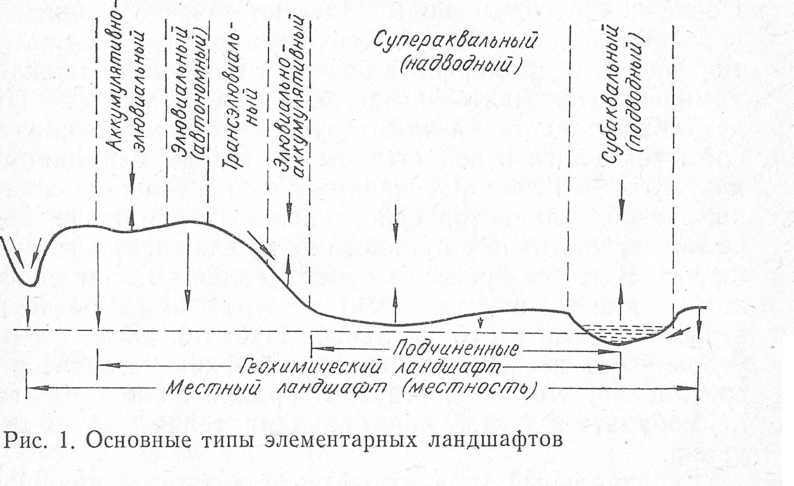 Схема виды ландшафтов