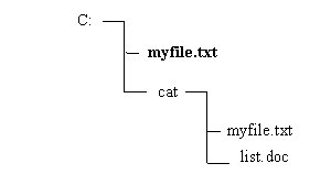 Doc d txt. Полное имя выделенного файла выглядит следующим образом myfile. Полное имя выделенного файла выглядит следующим образом. Полное имя файла кошки,txt. Listed txt.