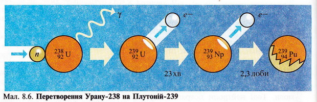 Ядро урана 238 92 u испытало. Поділ ядер урану.