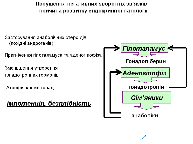 4. Поняття про ендокринну функцію.