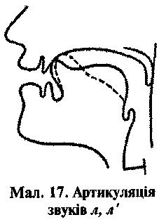 Артикуляция л. Профиль звука л. Артикуляция звука л. Артикуляция звука ль. Профиль звука л и ль.