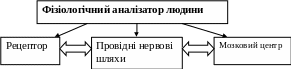 Группа 41