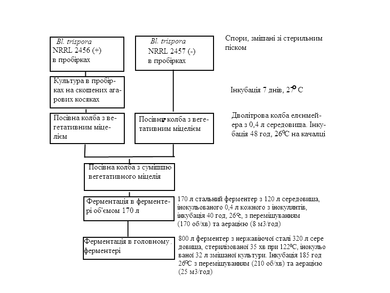 Структура