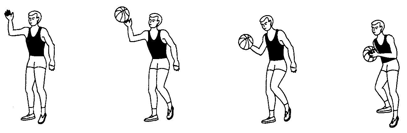 Ловля мяча в баскетболе. Ловля мяча одной рукой в баскетболе. Ловля мяча двумя руками в баскетболе схема. Техника ловли мяча одной рукой. Ловля мяча с полуотскока в баскетболе.