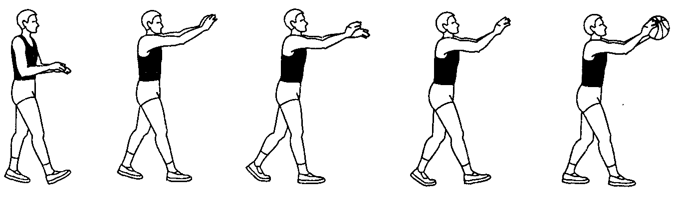 Ловля мяча в баскетболе. Техника ловли мяча в баскетболе. Ловля мяча двумя руками в баскетболе техника. Ловля мяча 2 руками баскетбольного.. Ловля мяча с полуотскока в баскетболе.