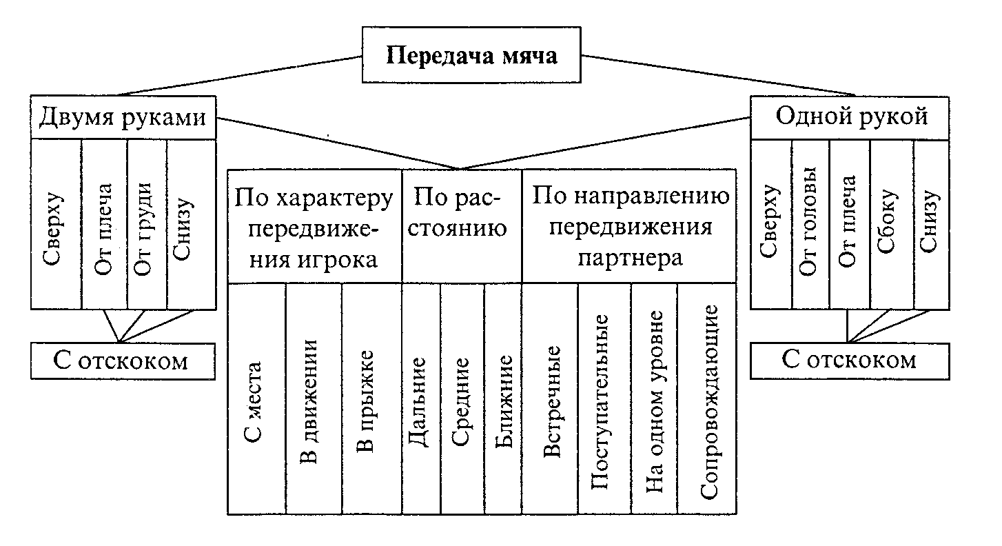 Техника выполнения передачи в баскетболе. Классификация передач мяча в баскетболе. Виды передачи мяча в баскетболе перечислите. Классификация техники ловли мяча в баскетболе. Основные способы передачи мяча в баскетболе.
