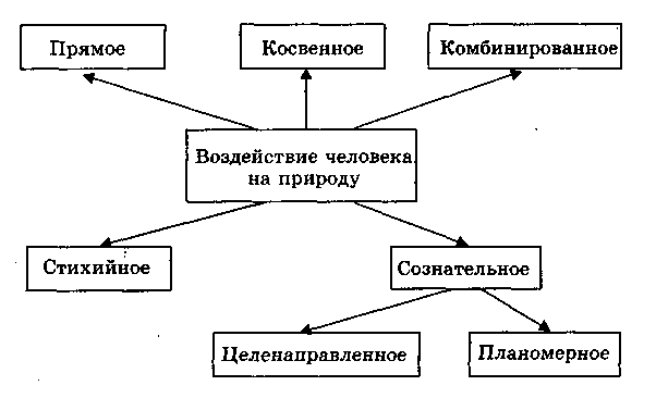Влияние человека на живую природу конспект урока - найдено 81 картинок