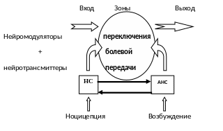 Группа 9