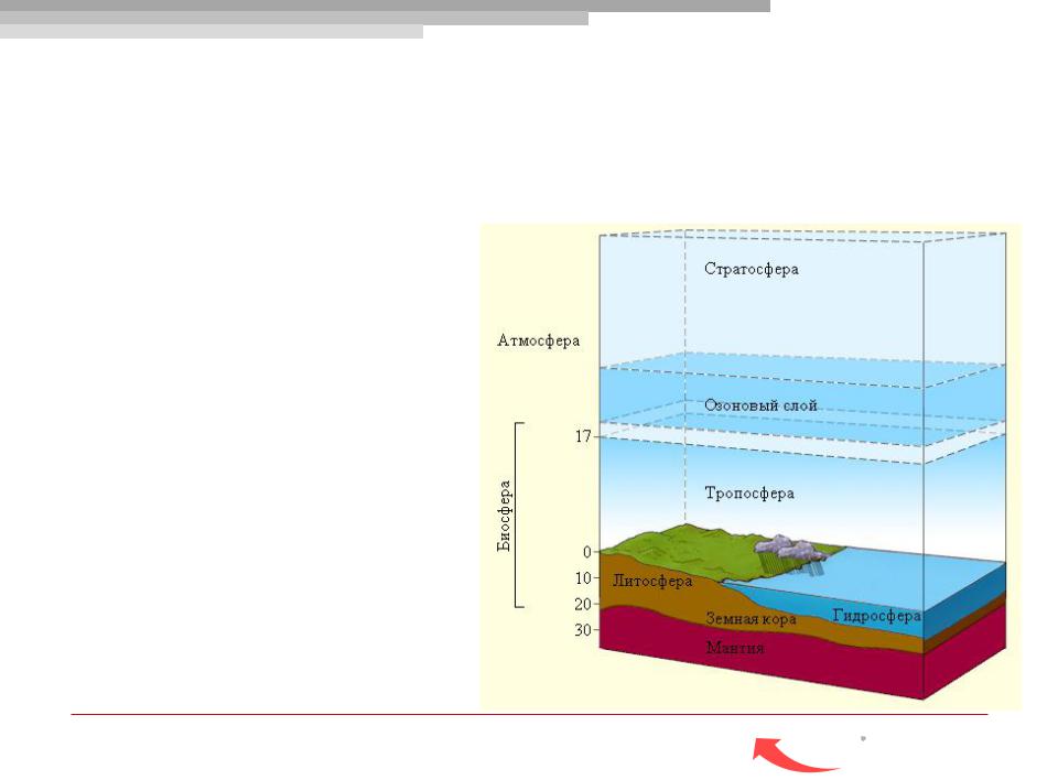 Граница биосферы в атмосфере находится