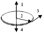 Диск вращается вокруг вертикальной оси в направлении указанном на рисунке белой стрелкой к ободу