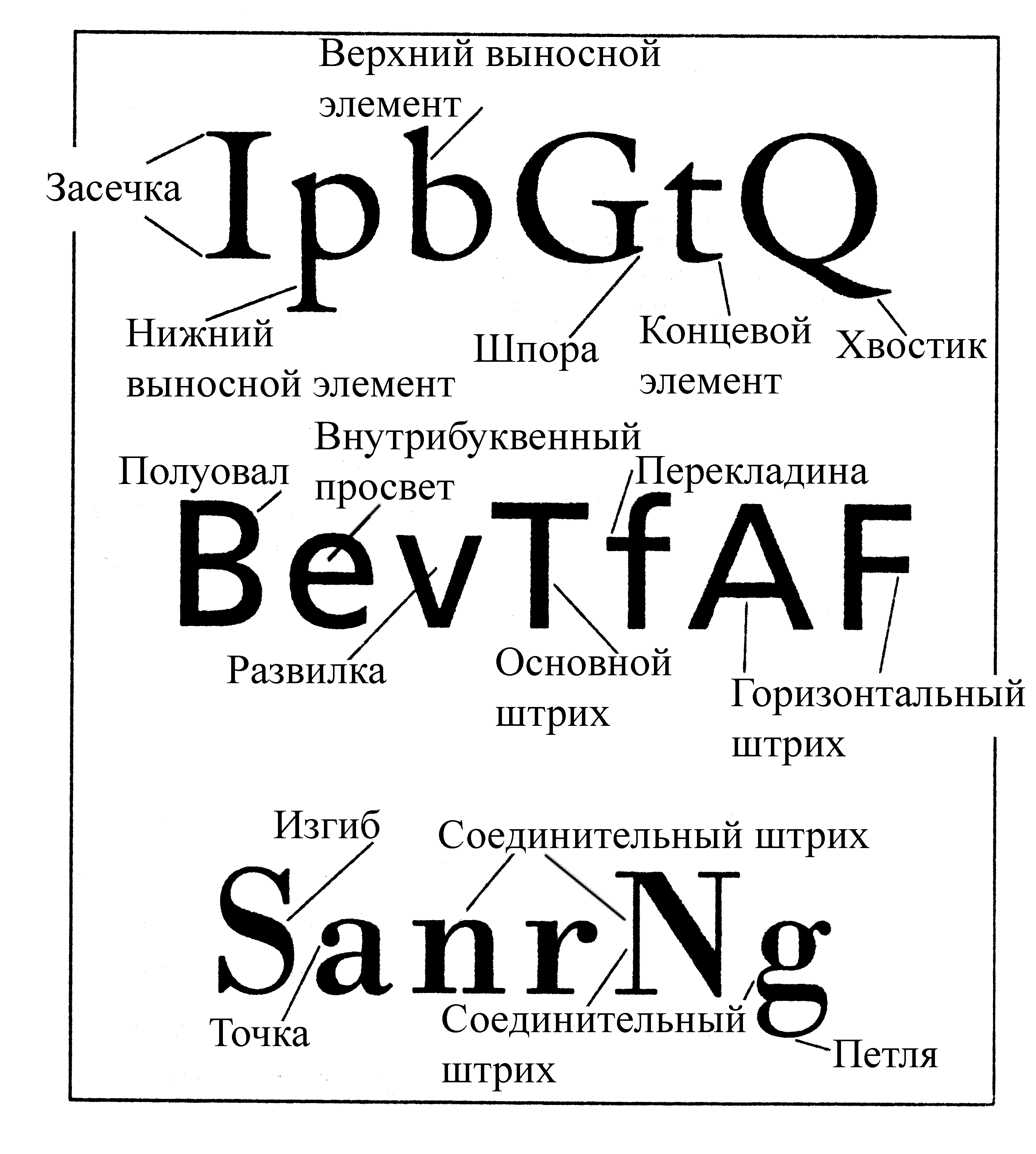 Шрифты используемые в журналах. Шрифты. Анатомия шрифта. Шрифты в типографике. Анатомия шрифта и элементы.