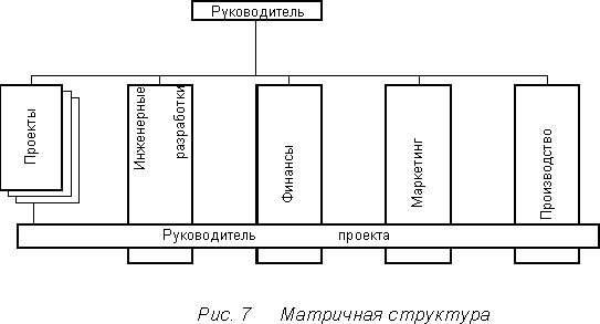 Виды организационной структуры управления проектом
