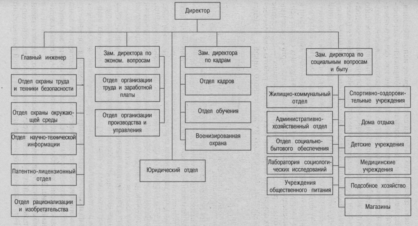 Кто определяет структурные подразделения на которые возлагается. Отдел кадров с каким сравнить животным.