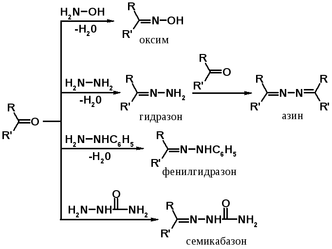 Гидролиз пропаналя. Гидразон структурная формула. Образование гидразонов из кетонов. Гидразоны получение. Гидразин и кетон.