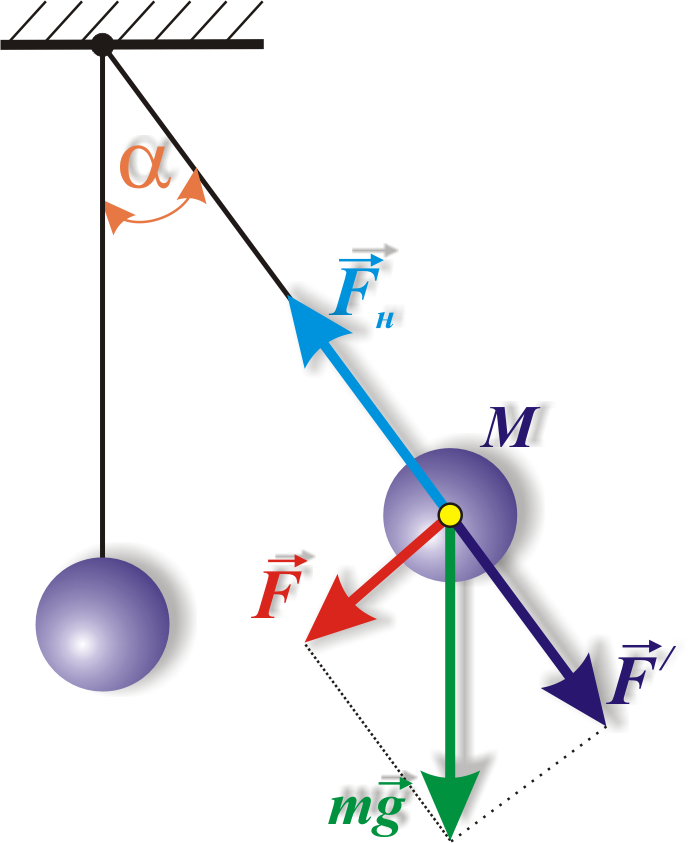 Движение маятника. Математический маятник. Силы действующие на математический маятник. Математический маятник анимация. Модель математического маятника.