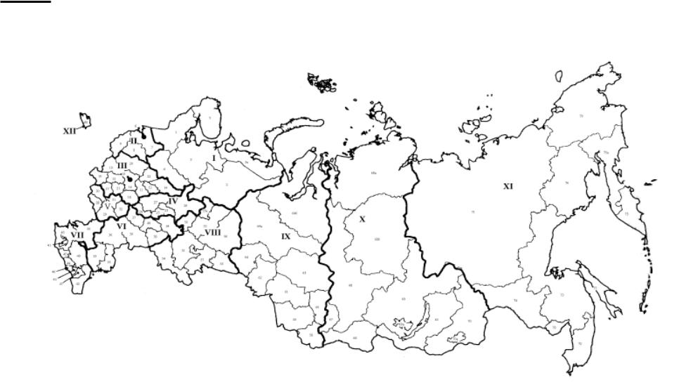 Российская контурная карта