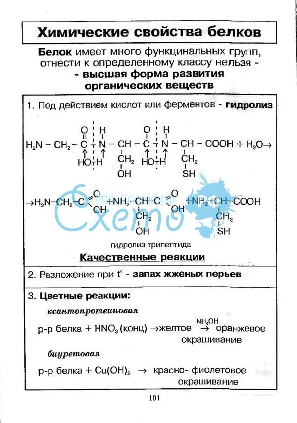 Свойства белков реакции. Химические свойства белков химия таблица. Химические свойства белков. Химические свойства белков химия уравнения. Химические свойства белка реакции.