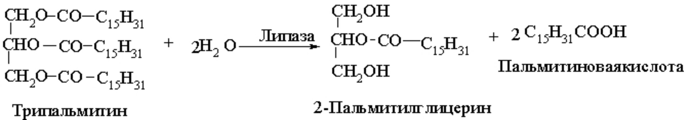 Трипальмитин гидролиз. Липаза формула. Формула трипальмитата глицерина. Трипальмитин и гидроксид натрия.