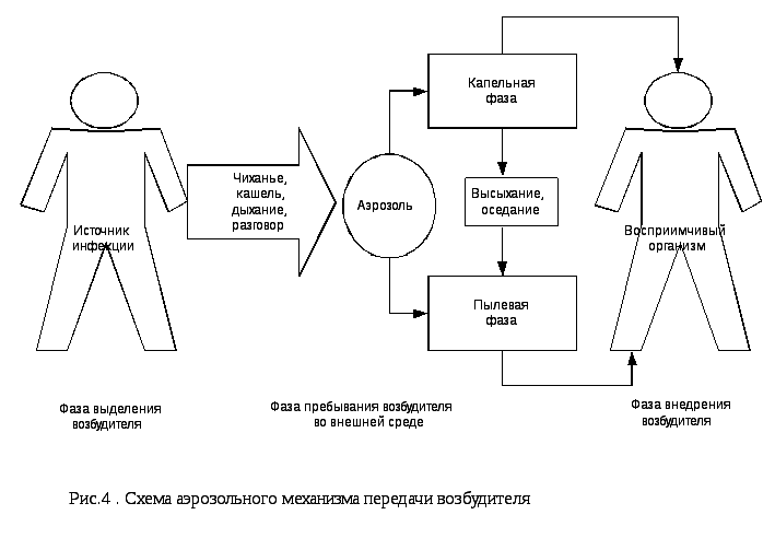 Воздушный механизм передачи инфекции. Аэрозольный механизм передачи инфекции схема. Механизм передачи вируса схема. Схема аэрозольного механизма передачи. Фазы механизма передачи возбудителя инфекции схема.