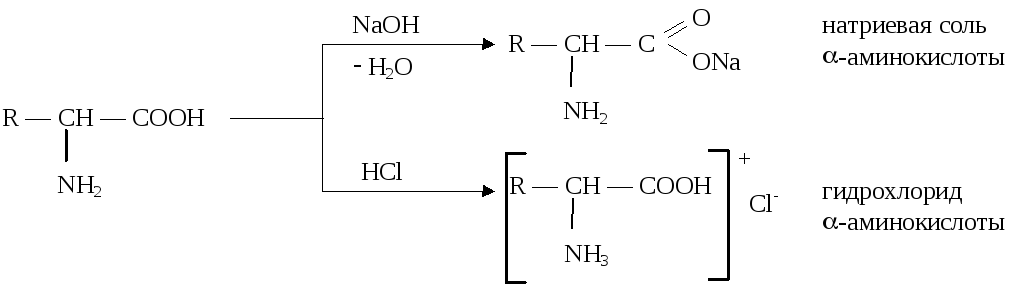 Аминоуксусная кислота реагирует с гидроксидом натрия. Реакция солей аминокислот с кислотами. Аминокислота и соляная кислота. Реакция аминокислоты с соляной кислотой. Соль аминокислоты и соляная кислота.