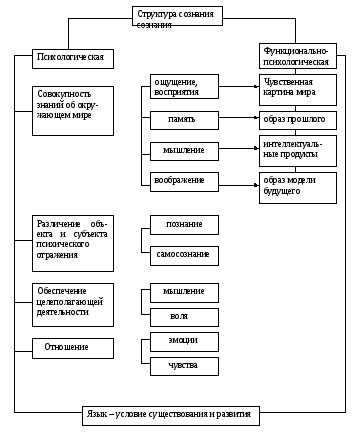 Структура сознания зинченко схема