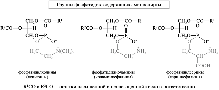 Схема щелочного гидролиза лецитина