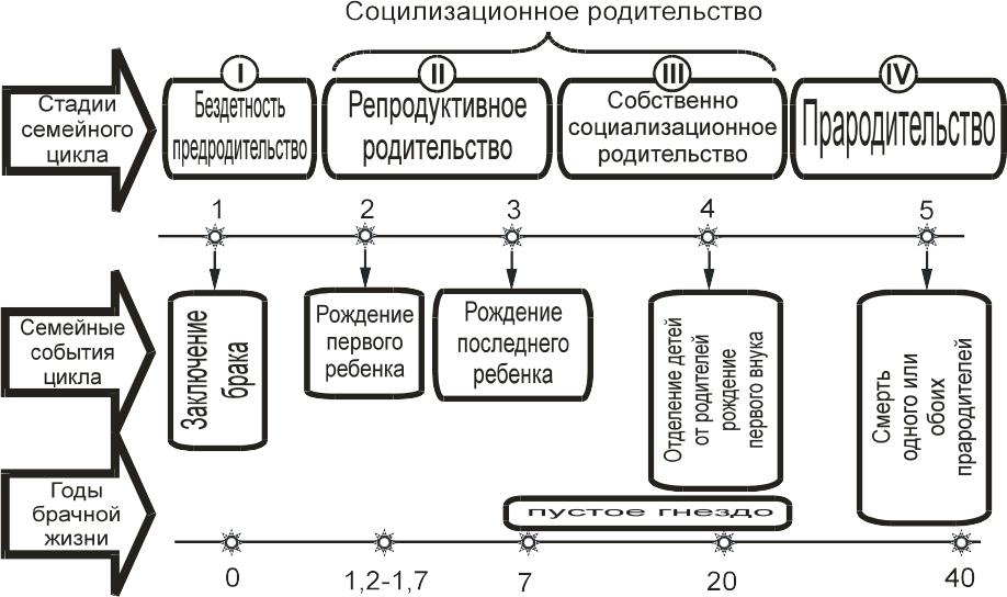 Жизненный цикл семьи схема