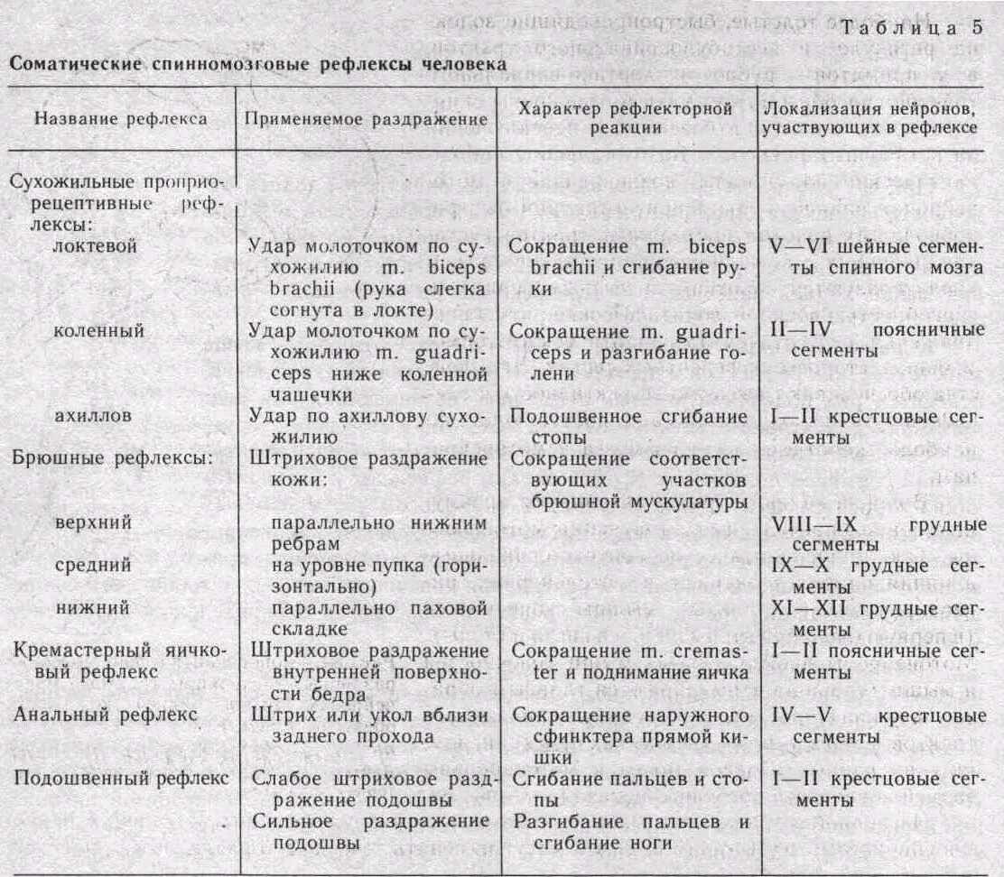 Рефлексы головного мозга таблица