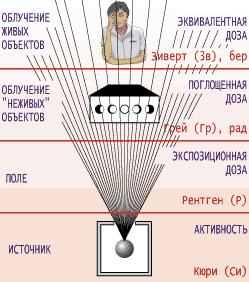 Микрозиверты в микрорентгены