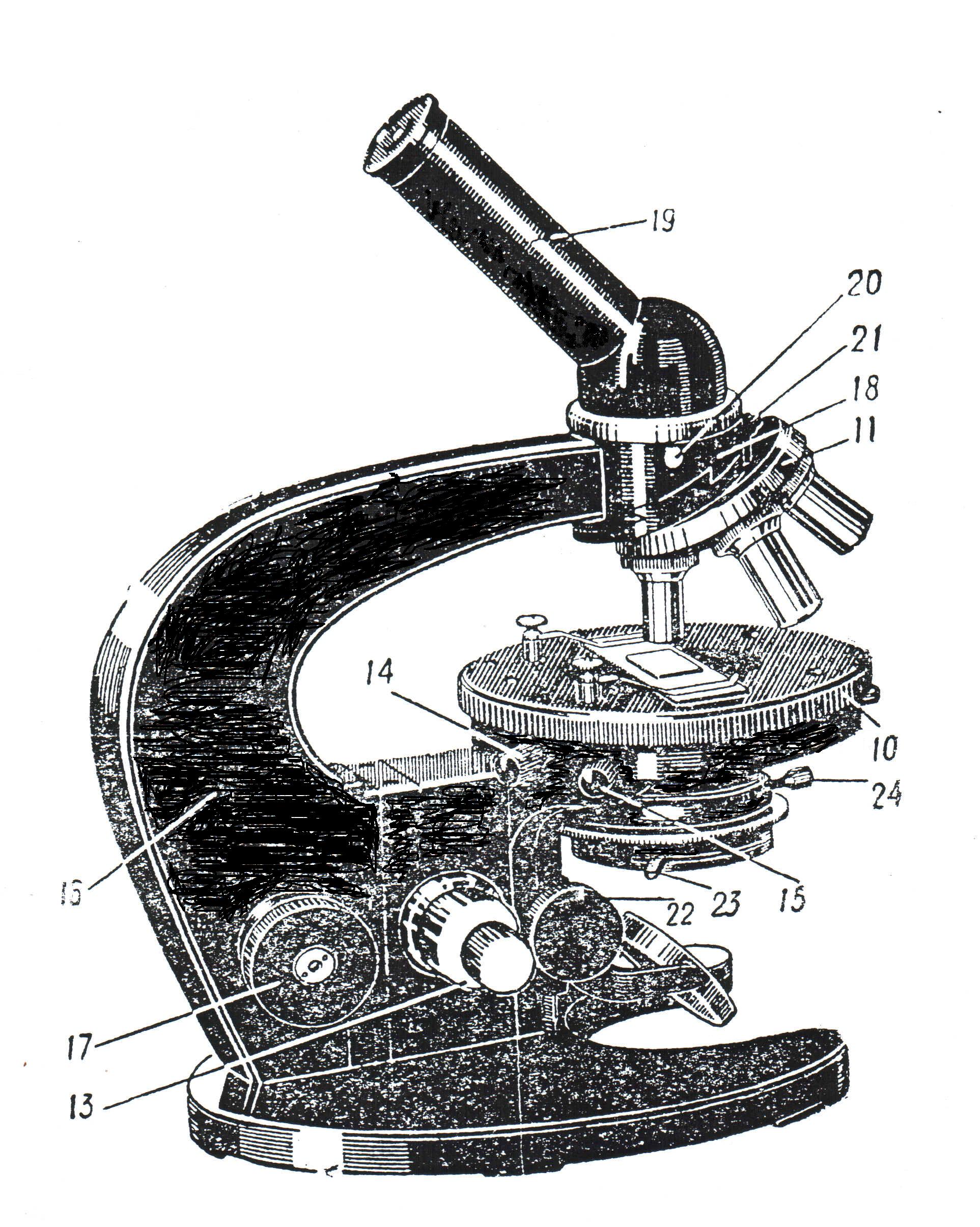 Оптический микроскоп строение
