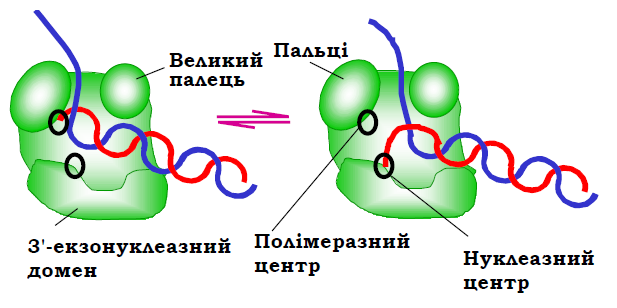 Redaguvannya Pomilok