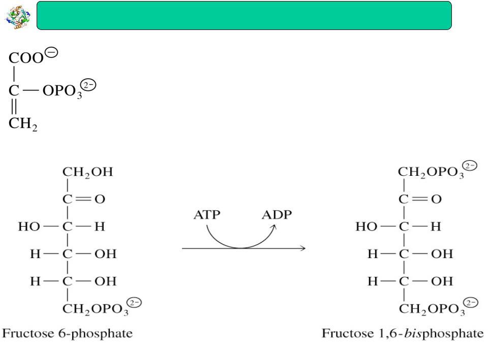 Фруктозо 6 дифосфат. Фруктоза дифосфат. Фруктозо 1 6 дифосфат. Фруктозо-6-фосфат фруктозо-1.6-дифосфат. Синтез фруктозо-6-фосфата.