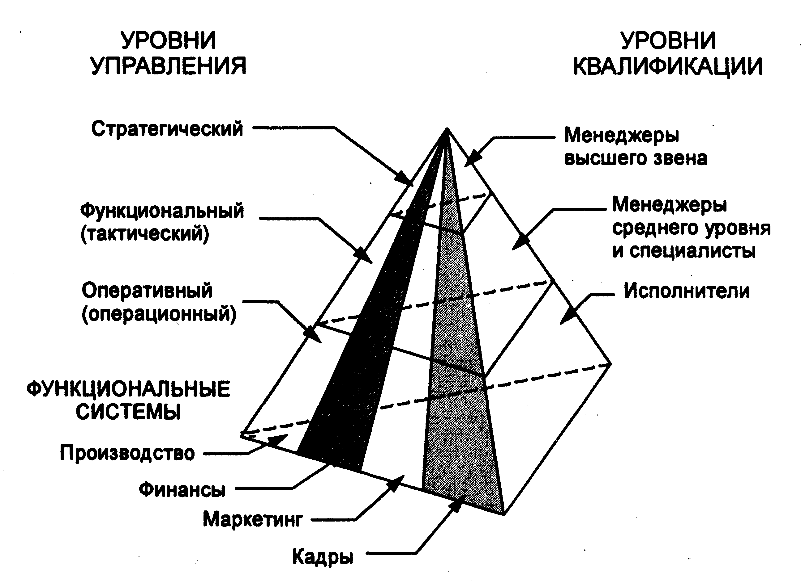 Типы кис