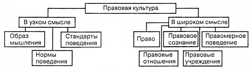 Виды правовой культуры схема