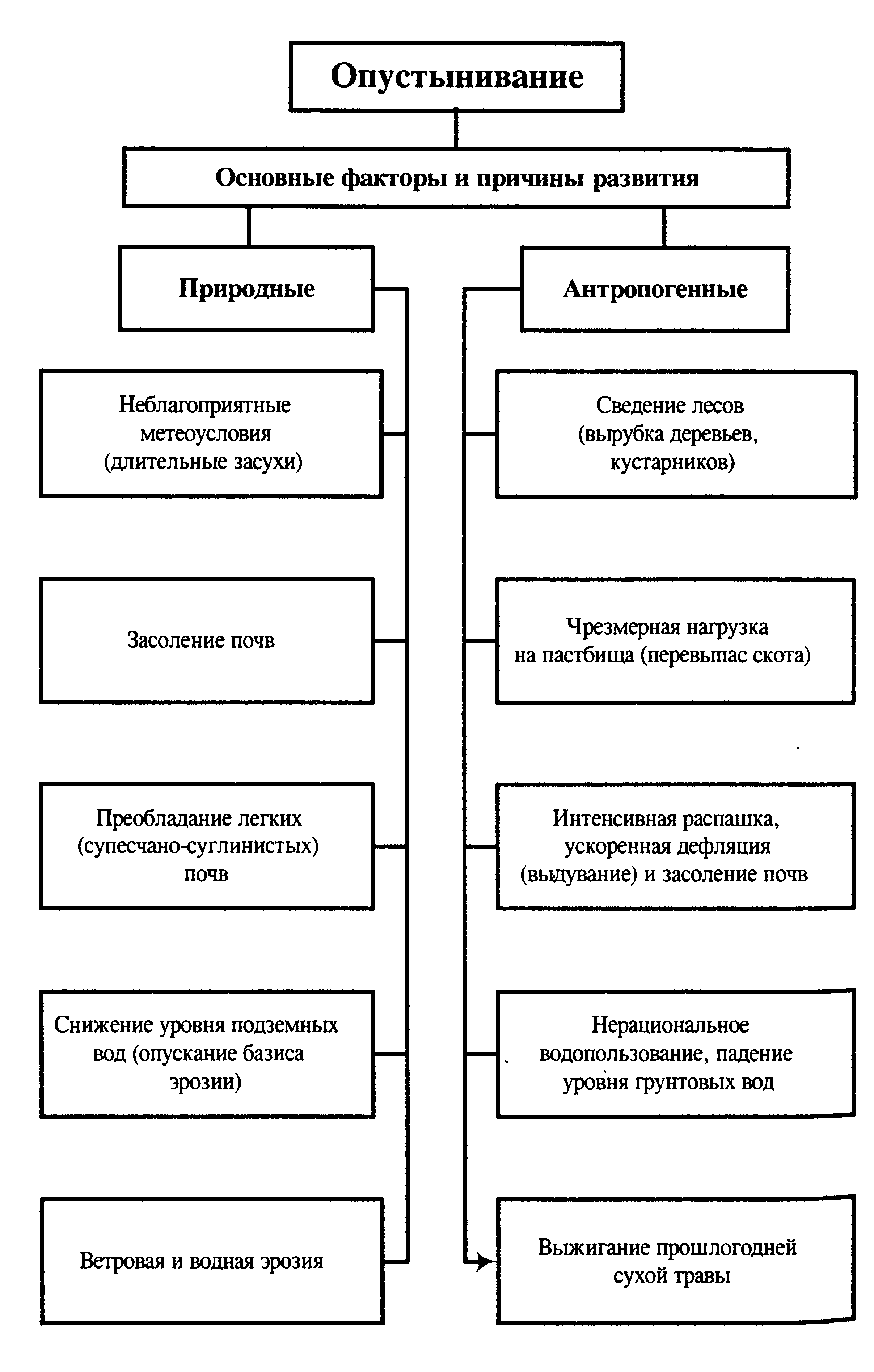 Практическая работа составление структурной схемы факторы опустынивания