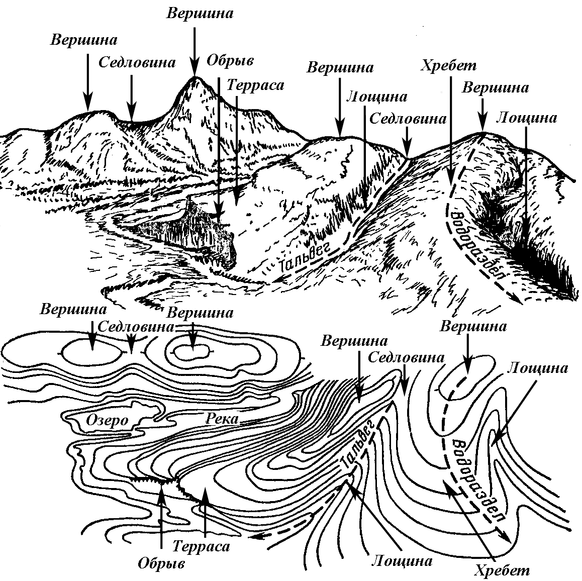 Линия на карте изображена