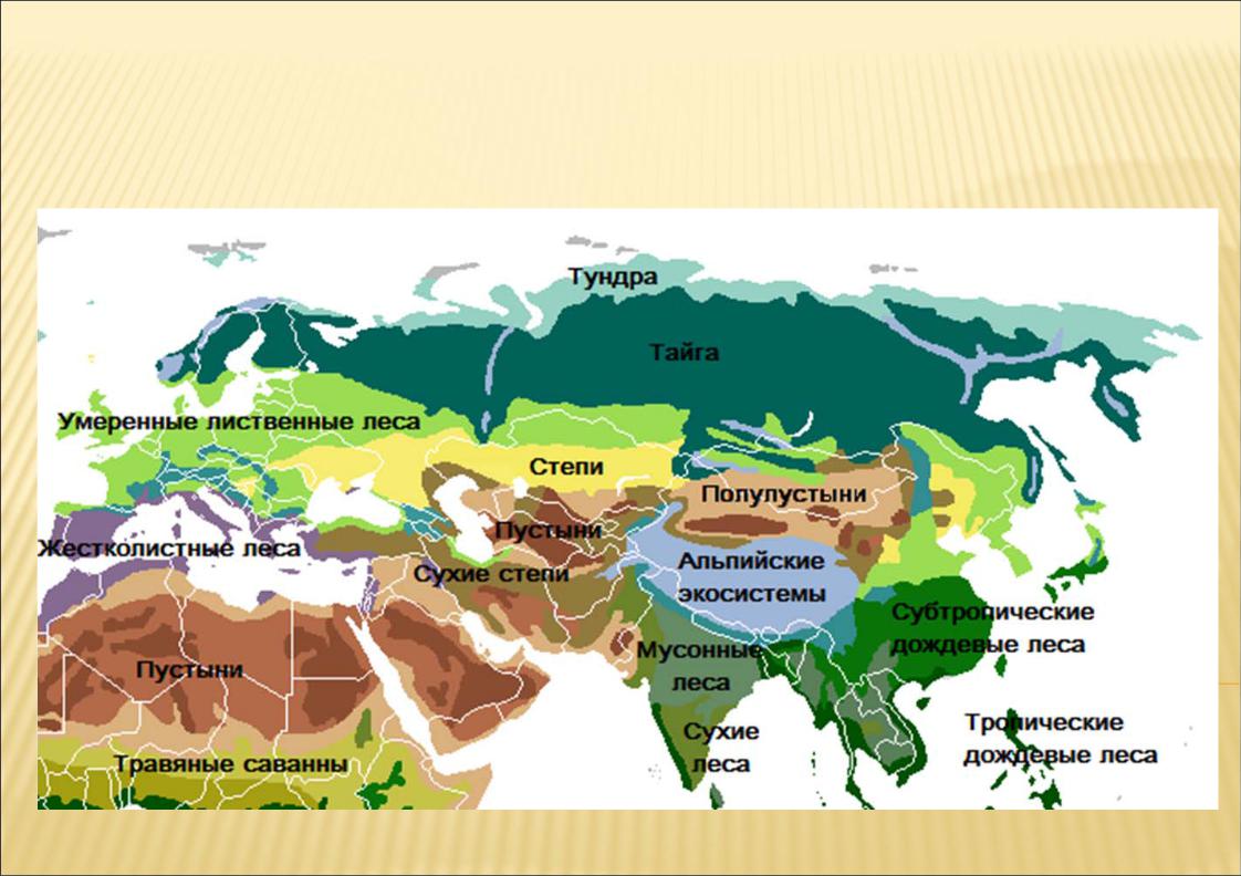 Географическое положение тайги в евразии. Карта природных зон зон Евразии. Природная зона Евразии на карте Евразии. Природные зоны материка Евразия.