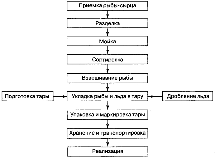 Технологическая схема консервов из рыбы