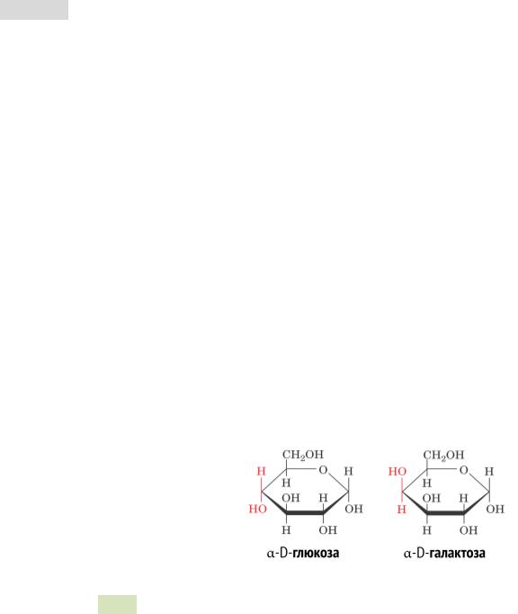 Бета галактоза. Галактоза 1 фосфат. Образование галактозы. Молоко галактоза. Галактоза продукты.